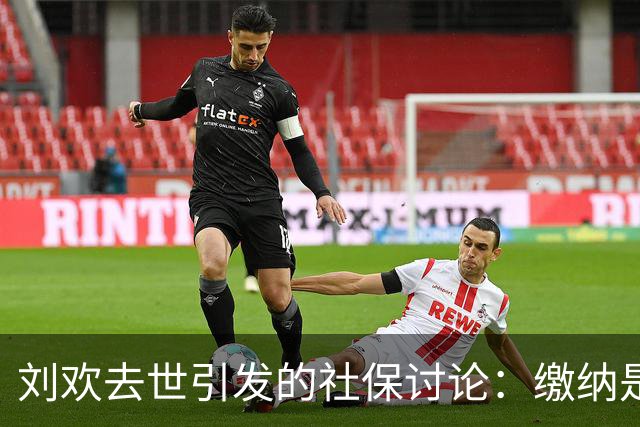 刘欢去世引发的社保讨论：缴纳是否真的无意义？